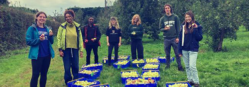 7 people stood outside on a green lawn with trees behind them. On the ground in the middle of them are plastic boxes, all filled with apples. The people are smiling at the camera.