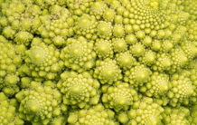 D’où vient la forme du chou romanesco ?