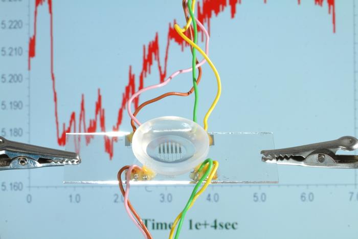 Département des Interfaces pour l'Energie, la Santé et l'Environnement