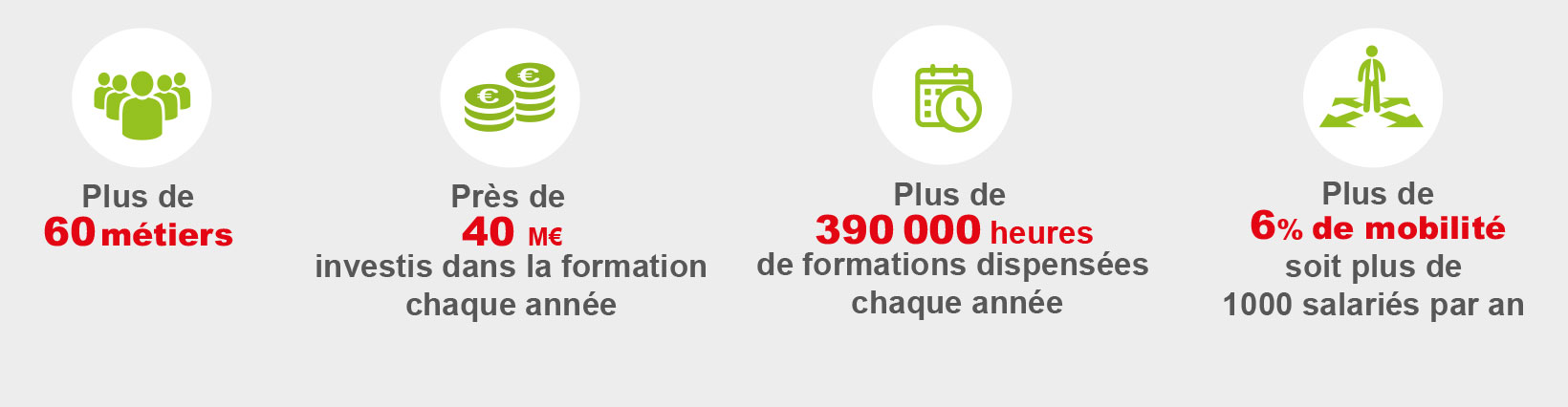 Formation, carrière et mobilité