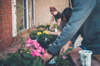 people planting flowers