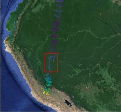 This graphic shows a select area of a river in Brazil that was observed by the SWOT satellite.