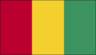 Guinea icon