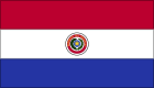 Paraguay logo