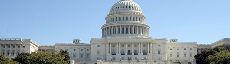 The US Capitol building view from the National Mall