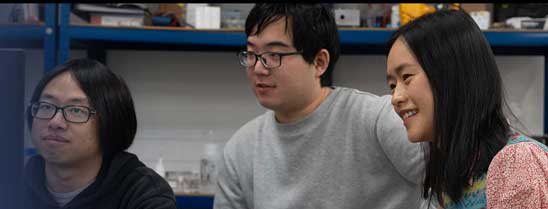 Fellowship researcher looking at a computer screen.