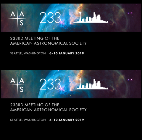 AAS 233