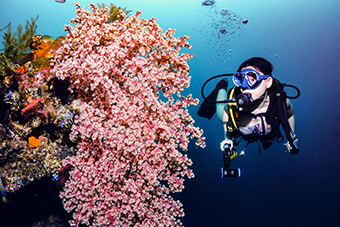 a woman scuba diving