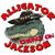 Alligator Jackson