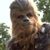 Chewbacca