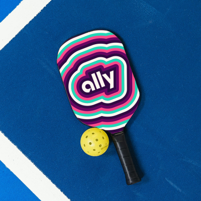 Ally Pickle Ball Set