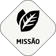 Missão