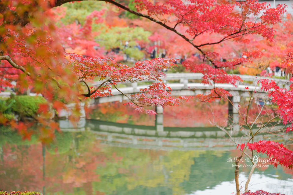 永觀堂紅葉京都景點必遊