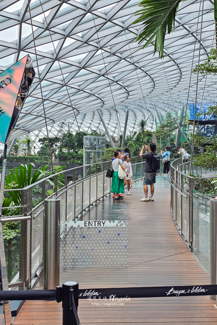 星耀樟宜Jewel Changi Airport