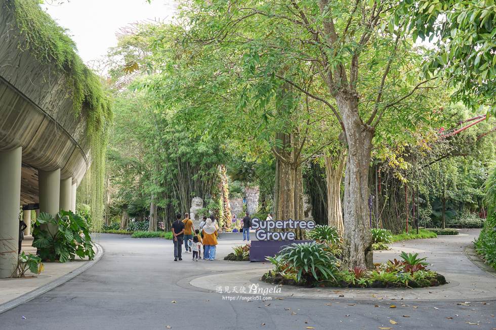 新加坡濱海灣花園