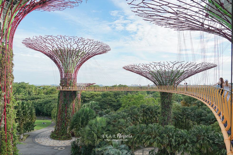 新加坡濱海灣花園天空樹步道