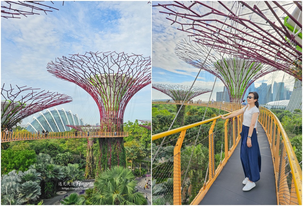 新加坡濱海灣花園