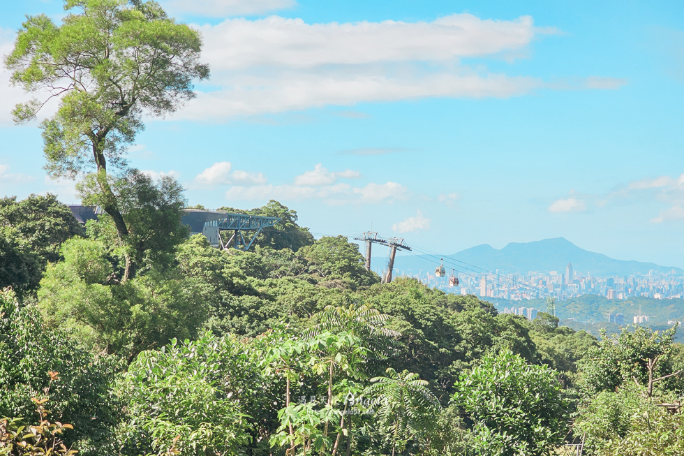 貓空景觀咖啡館找茶屋