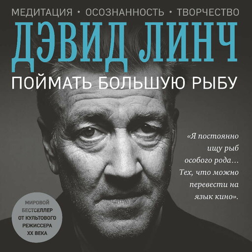 Поймать большую рыбу: медитация, осознанность и творчество, Дэвид Линч