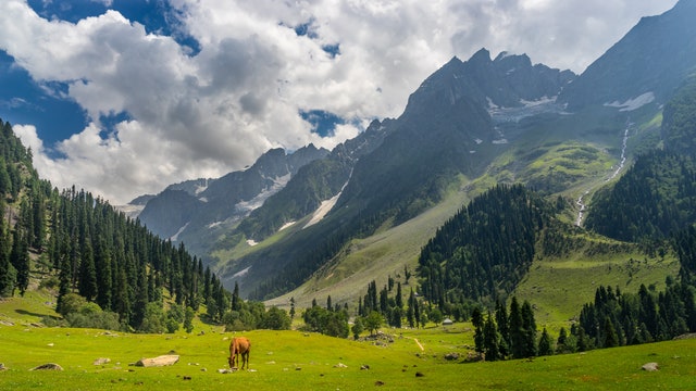 8 hill stations in India to escape Mumbai and Delhi's poor AQI right now