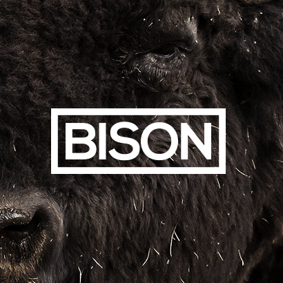 @builtwithbison