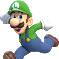 luigi1111