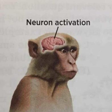 @NeuronActivation