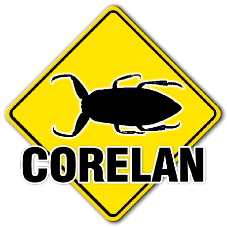 @corelan