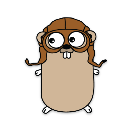 @heidsoft-golang