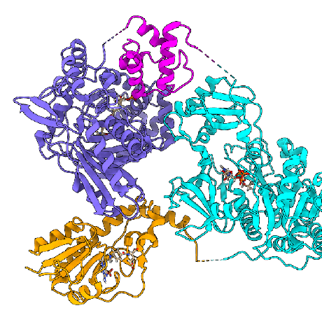 @kclu-bio