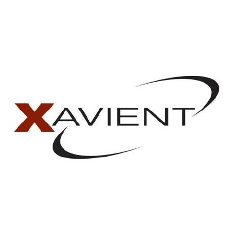 @xavient