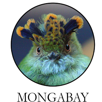 @mongabay