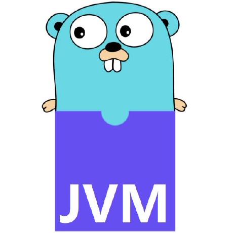 @go-jvm