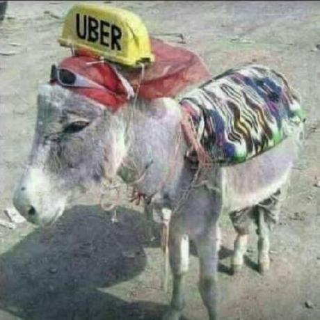 @uberEpicDonkey