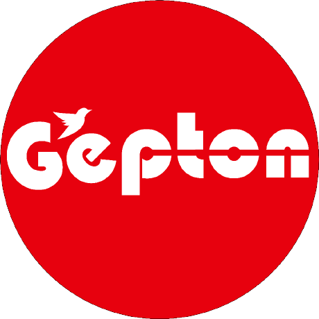 @gepton-infotech