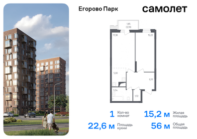 Квартира 56 м², 1-комнатная - изображение 1