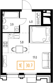 Квартира 30,7 м², 1-комнатная - изображение 2