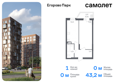 Квартира 43,2 м², 1-комнатная - изображение 1