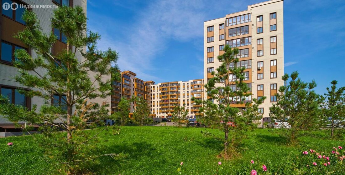 24 м², квартира-студия 34 500 ₽ в месяц - изображение 36