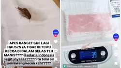 5 Kontroversi Temuan Codeblu, Kecoak di Resto hingga Tipuan Timbangan Supermarket 