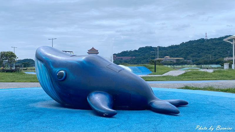 大佳河濱公園超大範圍花海~百日草、黃波斯菊、紫背狼尾草與造景將公園妝點更多彩 @Bernice的隨手筆記