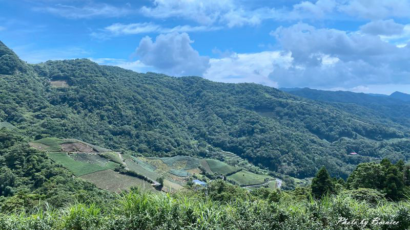 南山寺景觀平台~五分鐘步道360度無死角欣賞茶山與山嵐的美 @Bernice的隨手筆記