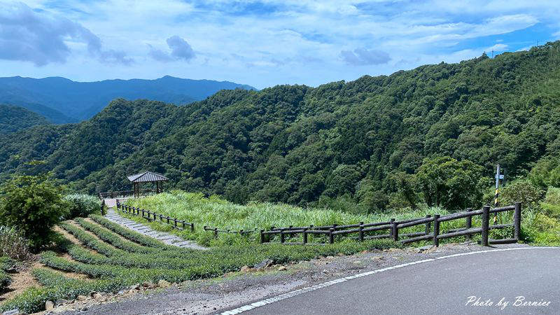 南山寺景觀平台~五分鐘步道360度無死角欣賞茶山與山嵐的美 @Bernice的隨手筆記