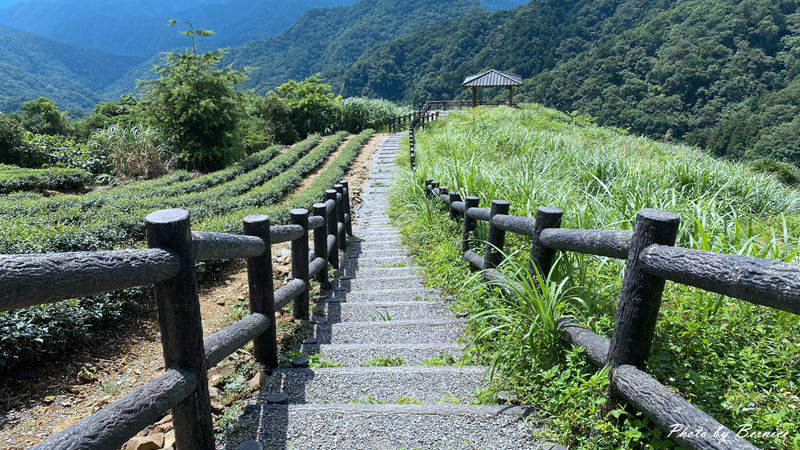 南山寺景觀平台~五分鐘步道360度無死角欣賞茶山與山嵐的美 @Bernice的隨手筆記