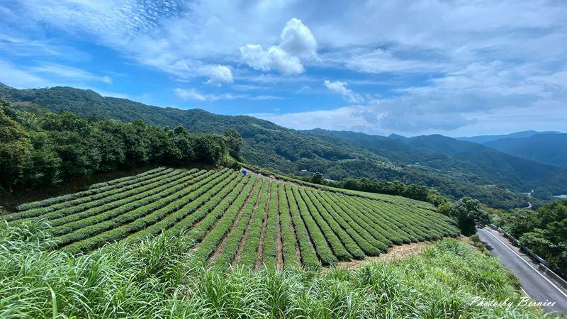 南山寺景觀平台~五分鐘步道360度無死角欣賞茶山與山嵐的美 @Bernice的隨手筆記