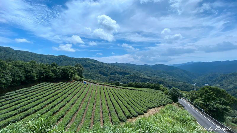 南山寺景觀平台~五分鐘步道360度無死角欣賞茶山與山嵐的美 @Bernice的隨手筆記