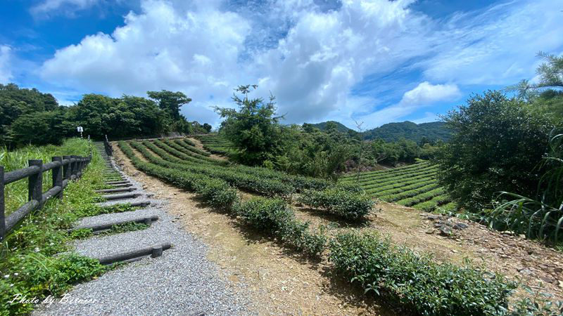 南山寺景觀平台~五分鐘步道360度無死角欣賞茶山與山嵐的美 @Bernice的隨手筆記