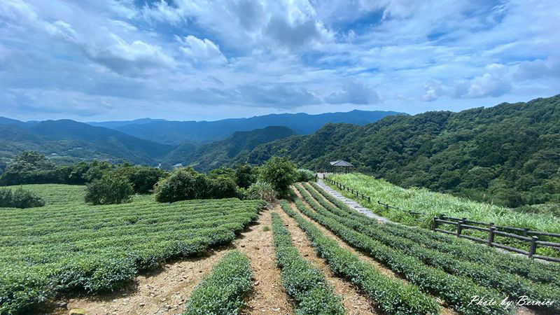 南山寺景觀平台~五分鐘步道360度無死角欣賞茶山與山嵐的美 @Bernice的隨手筆記