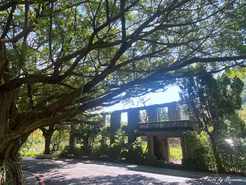 前山一號公園-磐流園區~山林綠的很舒服但沒有水綠 @Bernice的隨手筆記