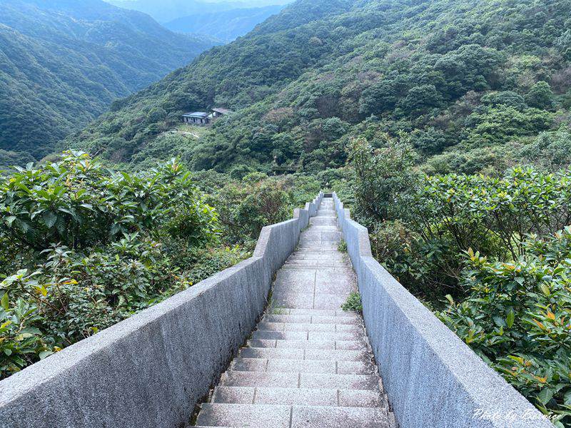 瑞雙公路(102縣道)~新北深秋最美公路 芒花伴你行 @Bernice的隨手筆記